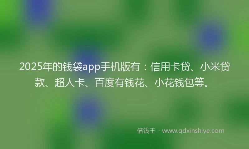 2025年的钱袋app手机版有：信用卡贷、小米贷款、超人卡、百度有钱花、小花钱包等。