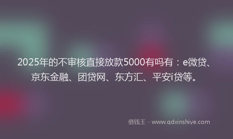 2025年的不审核直接放款5000有吗有：e微贷、京东金融、团贷网、东方汇、平安i贷等。
