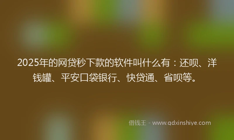2025年的网贷秒下款的软件叫什么有：还呗、洋钱罐、平安口袋银行、快贷通、省呗等。