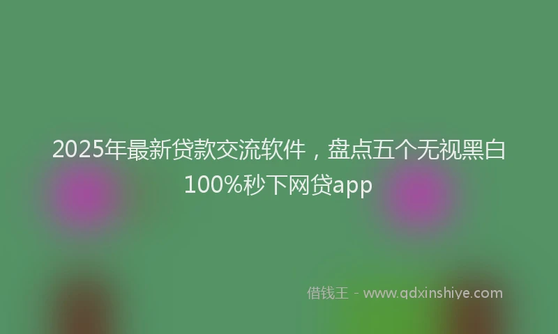 2025年最新贷款交流软件，盘点五个无视黑白100%秒下网贷app