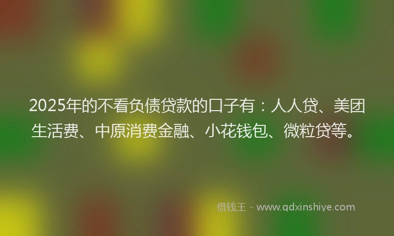 2025年的不看负债贷款的口子有：人人贷、美团生活费、中原消费金融、小花钱包、微粒贷等。