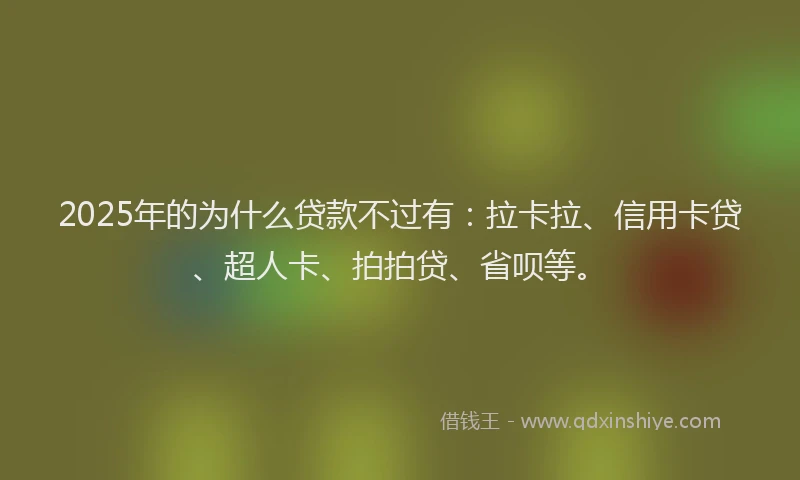 2025年的为什么贷款不过有：拉卡拉、信用卡贷、超人卡、拍拍贷、省呗等。