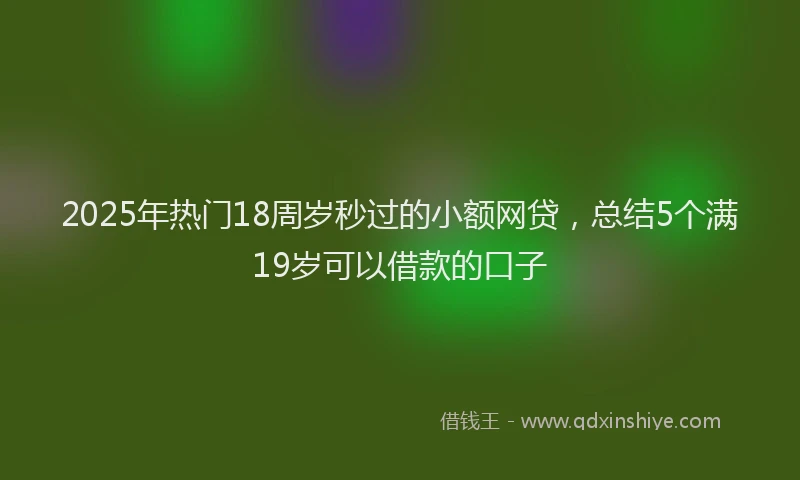 2025年热门18周岁秒过的小额网贷，总结5个满19岁可以借款的口子
