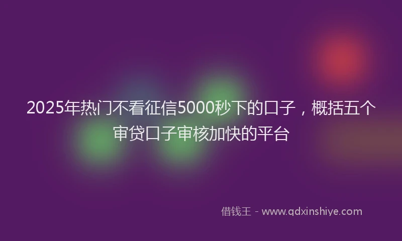 2025年热门不看征信5000秒下的口子，概括五个审贷口子审核加快的平台