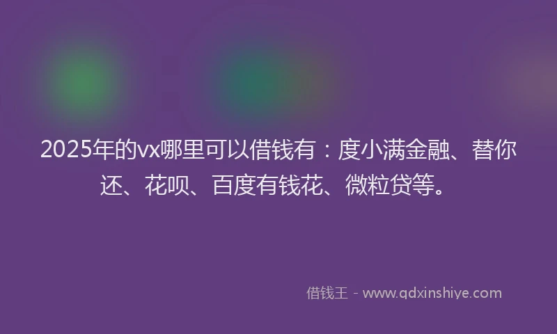 2025年的vx哪里可以借钱有：度小满金融、替你还、花呗、百度有钱花、微粒贷等。
