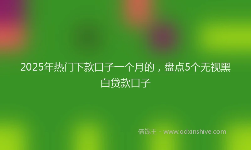 2025年热门下款口子一个月的，盘点5个无视黑白贷款口子