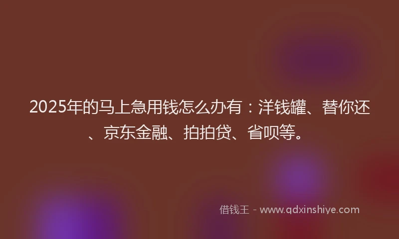 2025年的马上急用钱怎么办有：洋钱罐、替你还、京东金融、拍拍贷、省呗等。