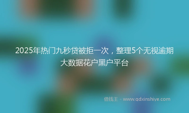 2025年热门九秒贷被拒一次，整理5个无视逾期大数据花户黑户平台