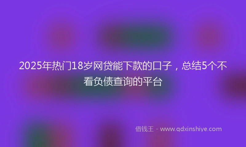 2025年热门18岁网贷能下款的口子，总结5个不看负债查询的平台
