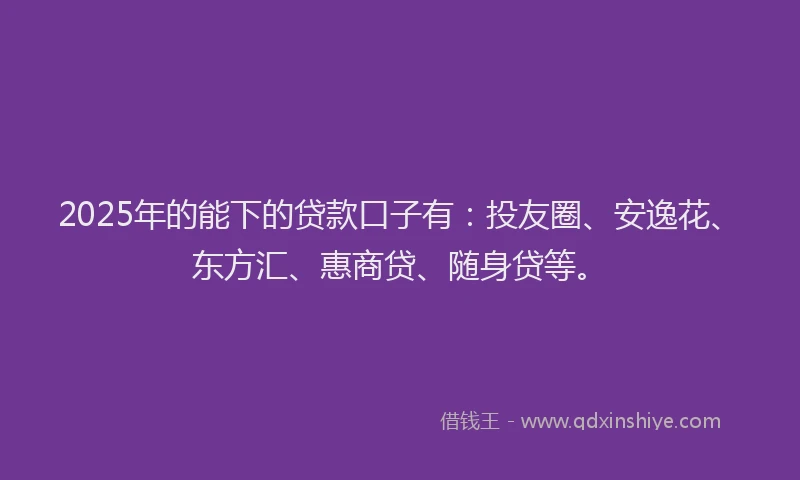 2025年的能下的贷款口子有：投友圈、安逸花、东方汇、惠商贷、随身贷等。