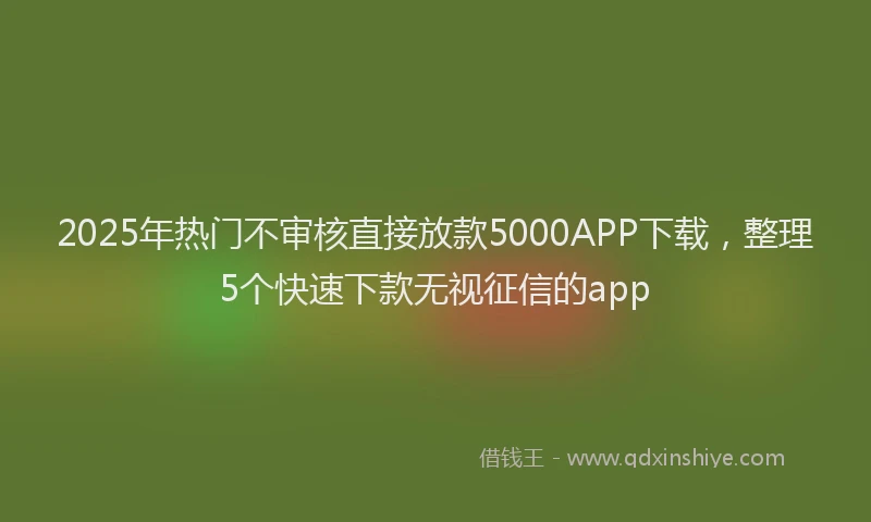 2025年热门不审核直接放款5000APP下载，整理5个快速下款无视征信的app