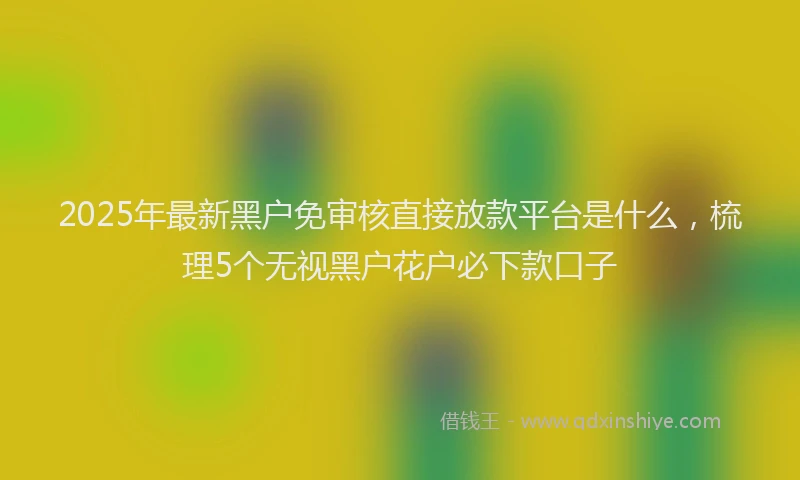 2025年最新黑户免审核直接放款平台是什么，梳理5个无视黑户花户必下款口子