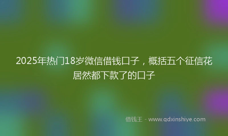 2025年热门18岁微信借钱口子，概括五个征信花居然都下款了的口子