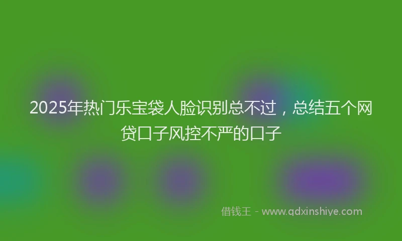 2025年热门乐宝袋人脸识别总不过，总结五个网贷口子风控不严的口子