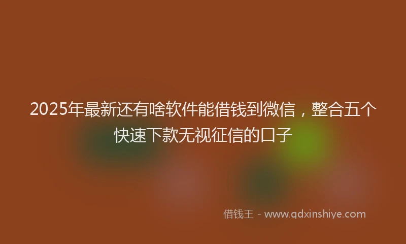 2025年最新还有啥软件能借钱到微信，整合五个快速下款无视征信的口子
