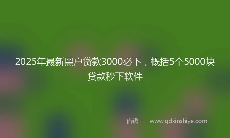 2025年最新黑户贷款3000必下，概括5个5000块贷款秒下软件