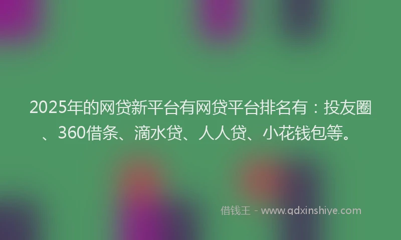 2025年的网贷新平台有网贷平台排名有：投友圈、360借条、滴水贷、人人贷、小花钱包等。