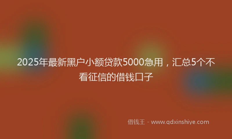 2025年最新黑户小额贷款5000急用，汇总5个不看征信的借钱口子