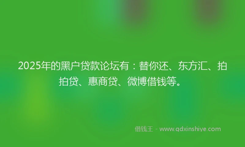 2025年的黑户贷款论坛有：替你还、东方汇、拍拍贷、惠商贷、微博借钱等。