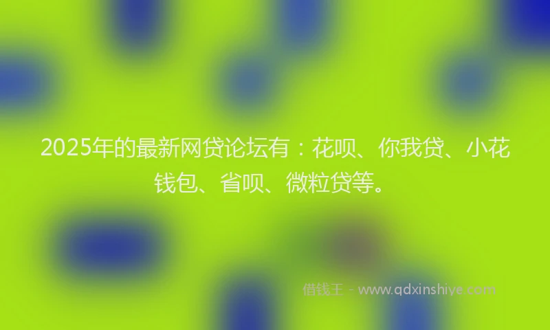 2025年的最新网贷论坛有：花呗、你我贷、小花钱包、省呗、微粒贷等。