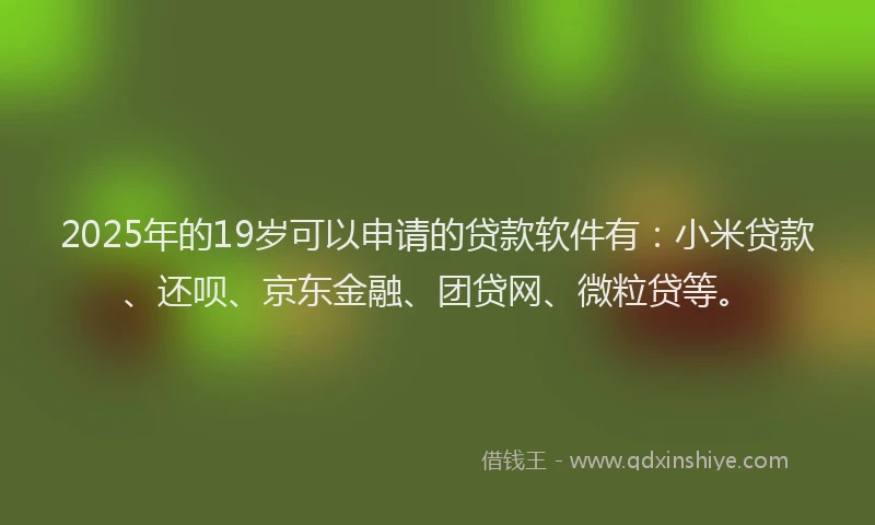 2025年的19岁可以申请的贷款软件有：小米贷款、还呗、京东金融、团贷网、微粒贷等。