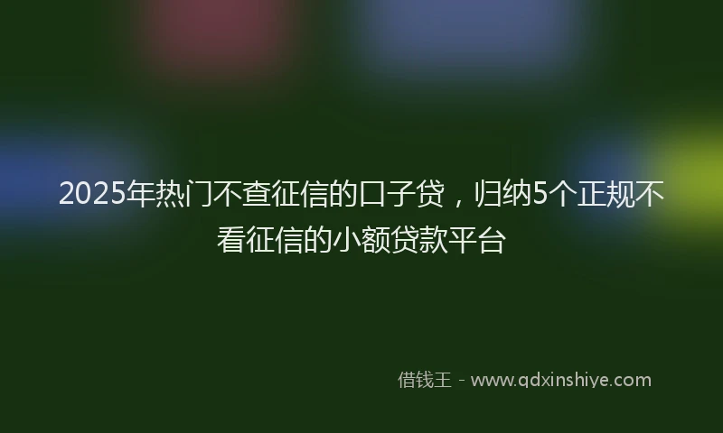 2025年热门不查征信的口子贷，归纳5个正规不看征信的小额贷款平台