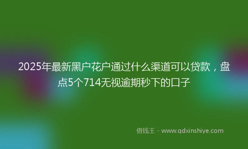 2025年最新黑户花户通过什么渠道可以贷款，盘点5个714无视逾期秒下的口子