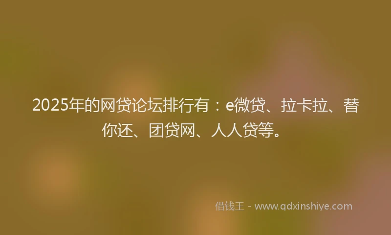 2025年的网贷论坛排行有：e微贷、拉卡拉、替你还、团贷网、人人贷等。