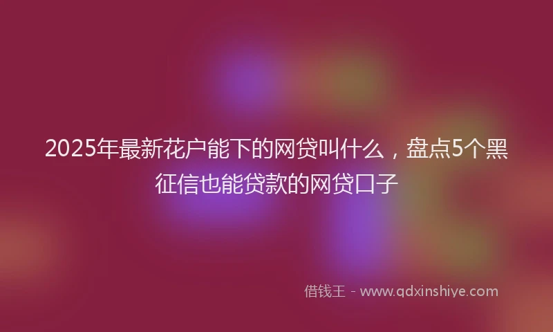 2025年最新花户能下的网贷叫什么，盘点5个黑征信也能贷款的网贷口子