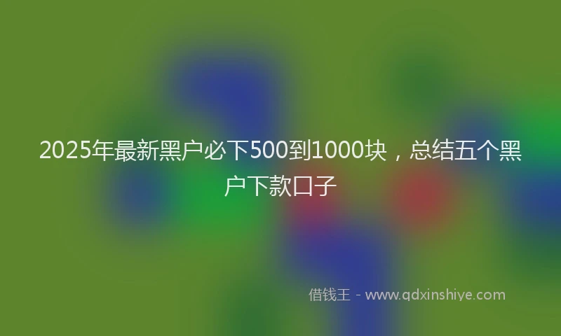 2025年最新黑户必下500到1000块，总结五个黑户下款口子