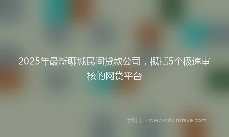 2025年最新聊城民间贷款公司，概括5个极速审核的网贷平台