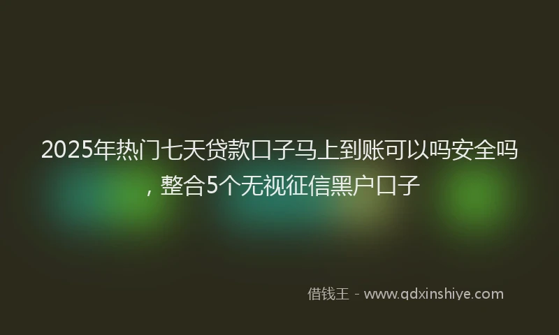 2025年热门七天贷款口子马上到账可以吗安全吗，整合5个无视征信黑户口子