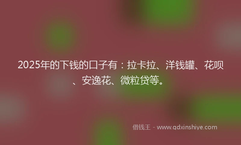 2025年的下钱的口子有：拉卡拉、洋钱罐、花呗、安逸花、微粒贷等。
