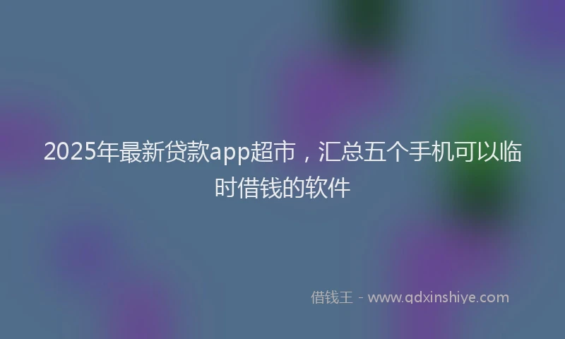 2025年最新贷款app超市，汇总五个手机可以临时借钱的软件