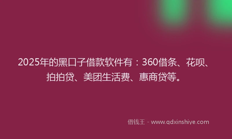 2025年的黑口子借款软件有：360借条、花呗、拍拍贷、美团生活费、惠商贷等。