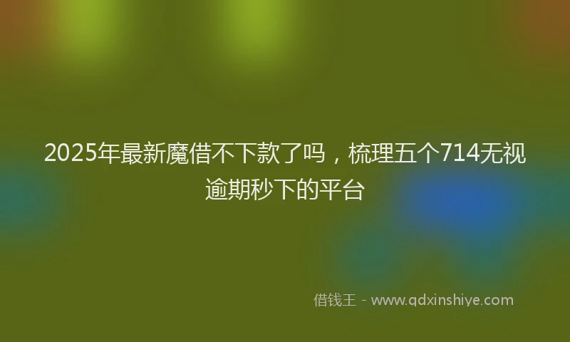 2025年最新魔借不下款了吗，梳理五个714无视逾期秒下的平台
