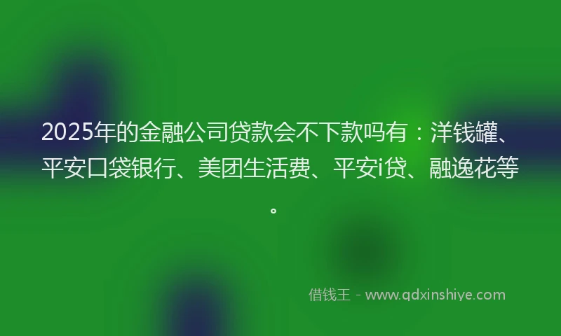2025年的金融公司贷款会不下款吗有：洋钱罐、平安口袋银行、美团生活费、平安i贷、融逸花等。