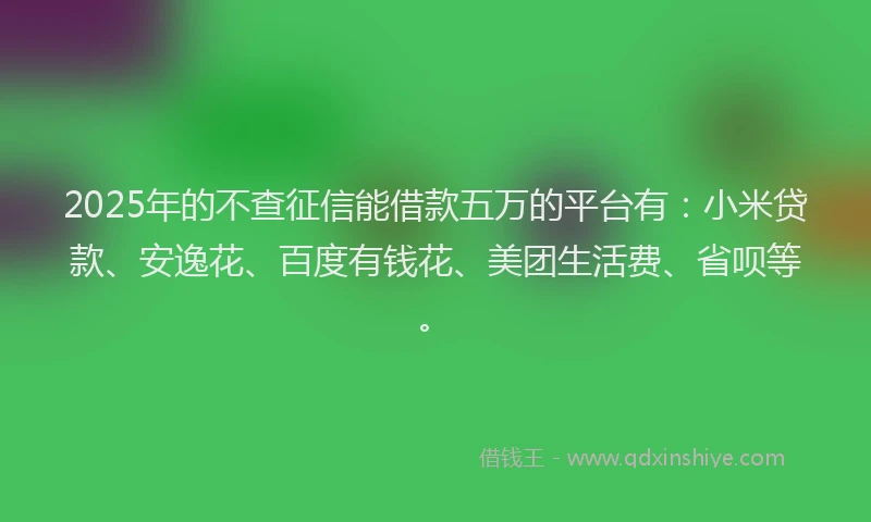 2025年的不查征信能借款五万的平台有：小米贷款、安逸花、百度有钱花、美团生活费、省呗等。