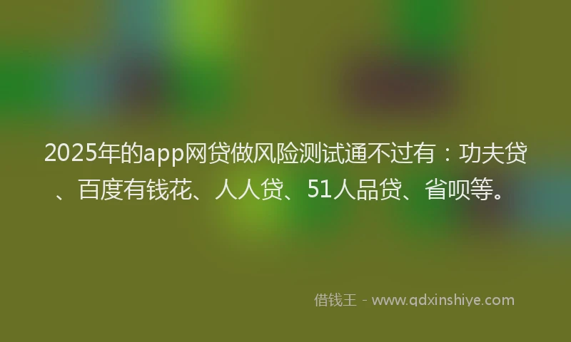 2025年的app网贷做风险测试通不过有：功夫贷、百度有钱花、人人贷、51人品贷、省呗等。