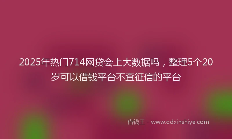 2025年热门714网贷会上大数据吗，整理5个20岁可以借钱平台不查征信的平台