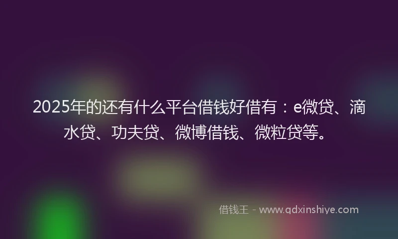 2025年的还有什么平台借钱好借有：e微贷、滴水贷、功夫贷、微博借钱、微粒贷等。