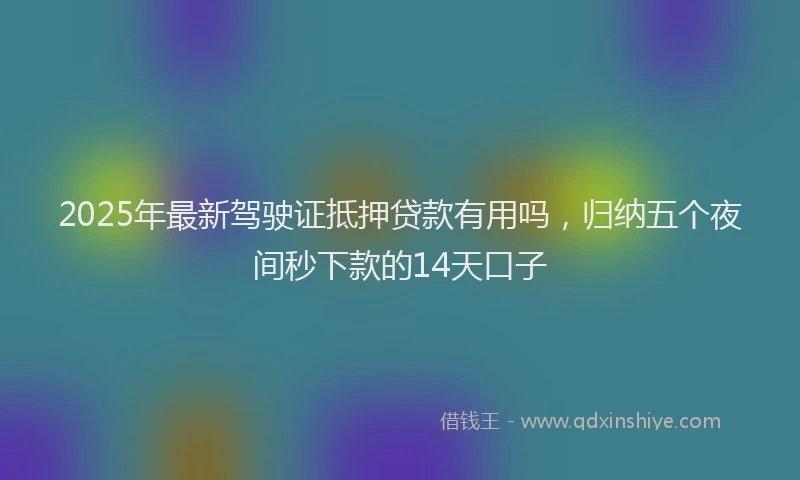 2025年最新驾驶证抵押贷款有用吗，归纳五个夜间秒下款的14天口子