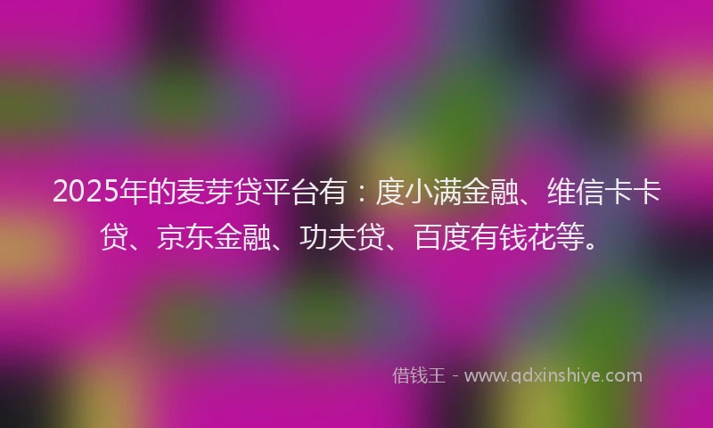 2025年的麦芽贷平台有：度小满金融、维信卡卡贷、京东金融、功夫贷、百度有钱花等。
