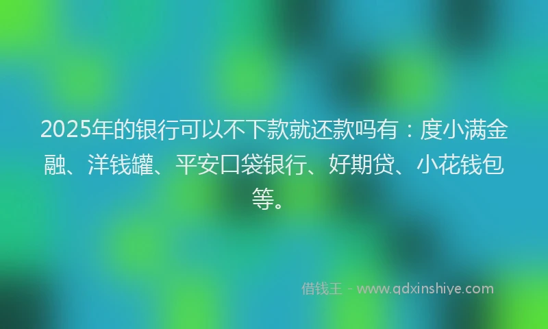 2025年的银行可以不下款就还款吗有：度小满金融、洋钱罐、平安口袋银行、好期贷、小花钱包等。