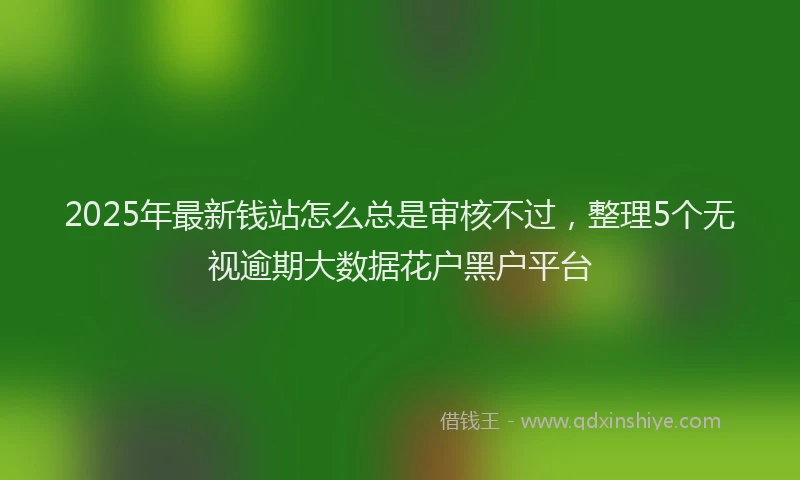 2025年最新钱站怎么总是审核不过，整理5个无视逾期大数据花户黑户平台