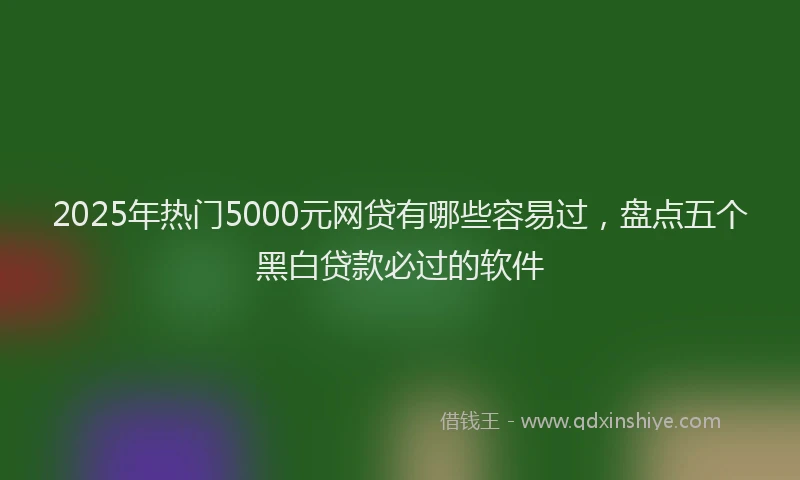 2025年热门5000元网贷有哪些容易过，盘点五个黑白贷款必过的软件