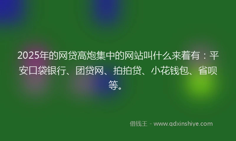 2025年的网贷高炮集中的网站叫什么来着有：平安口袋银行、团贷网、拍拍贷、小花钱包、省呗等。