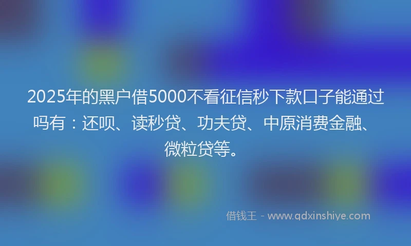 2025年的黑户借5000不看征信秒下款口子能通过吗有：还呗、读秒贷、功夫贷、中原消费金融、微粒贷等。