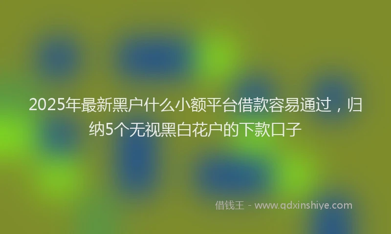 2025年最新黑户什么小额平台借款容易通过，归纳5个无视黑白花户的下款口子