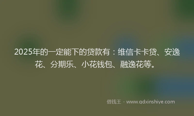 2025年的一定能下的贷款有：维信卡卡贷、安逸花、分期乐、小花钱包、融逸花等。